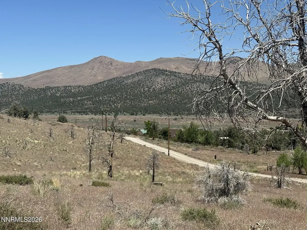930 Cavelti Gardnerville NV 89410