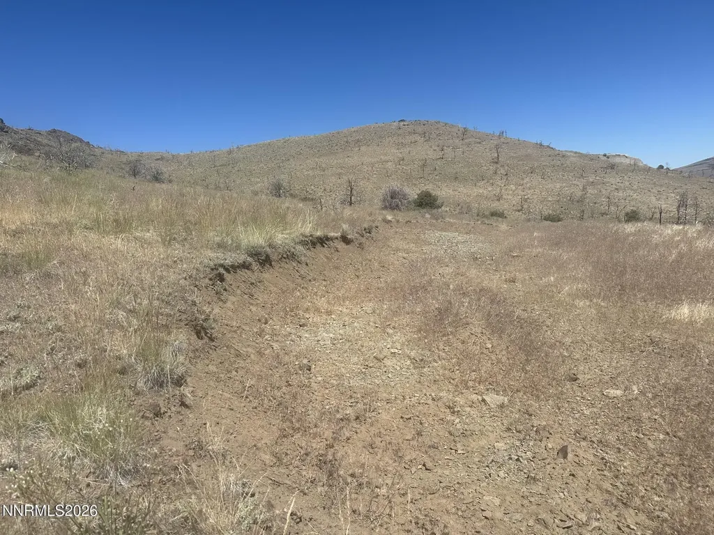 930 Cavelti Gardnerville NV 89410