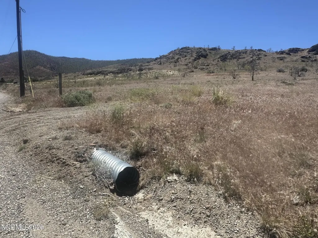 930 Cavelti Gardnerville NV 89410