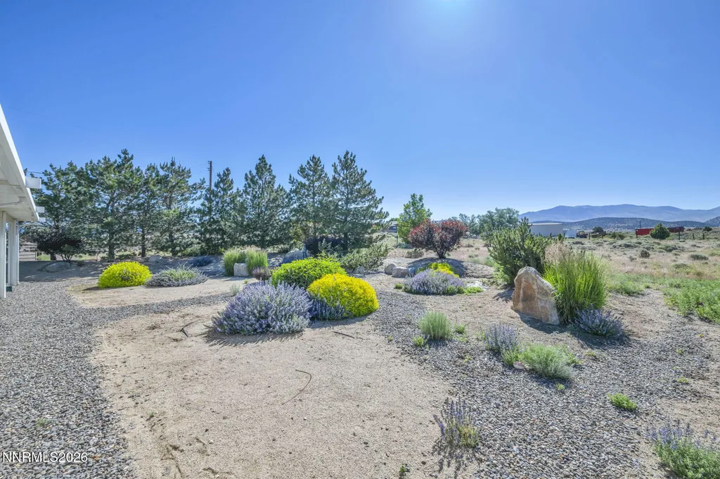 1321 Tamzy Gardnerville NV 89410