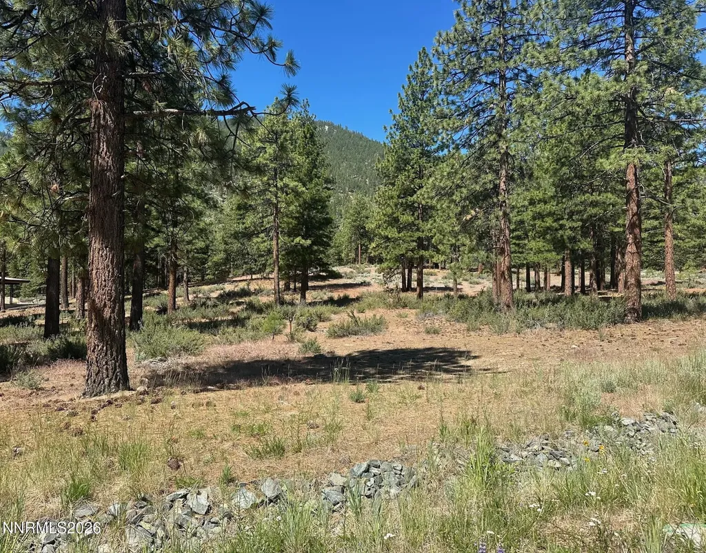 3355 Golf Club Carson City NV 89705