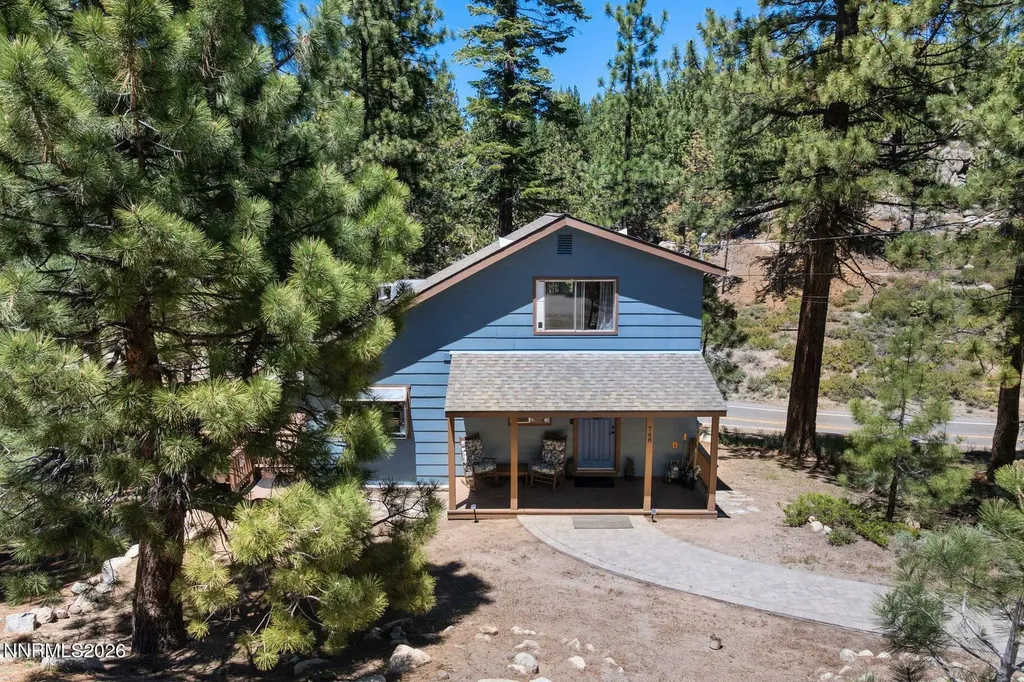 748 Tina Stateline NV 89449