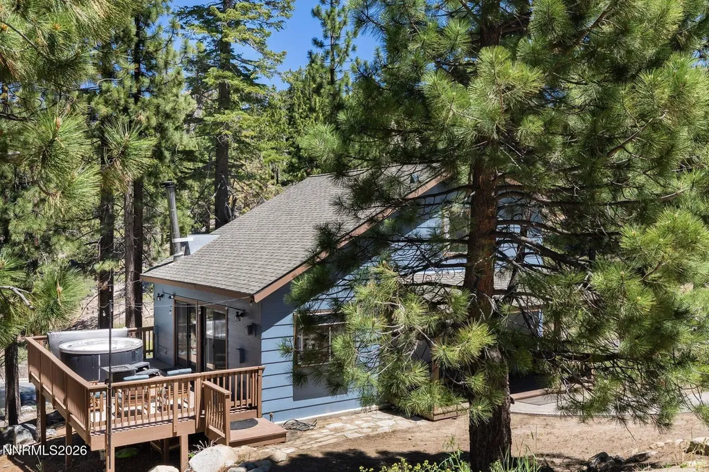 748 Tina Stateline NV 89449