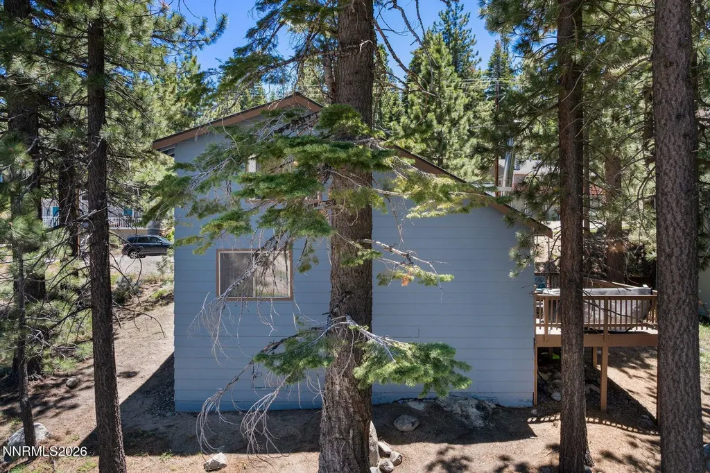 748 Tina Stateline NV 89449