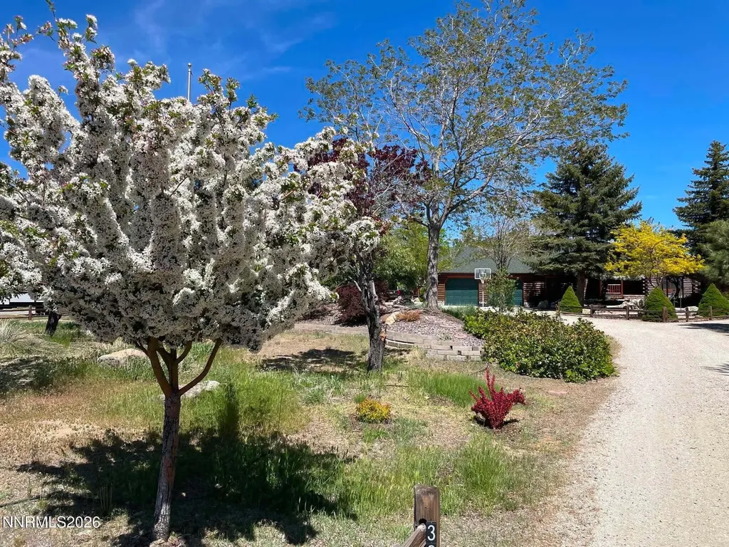 3667 Summer Hill Carson City NV 89705