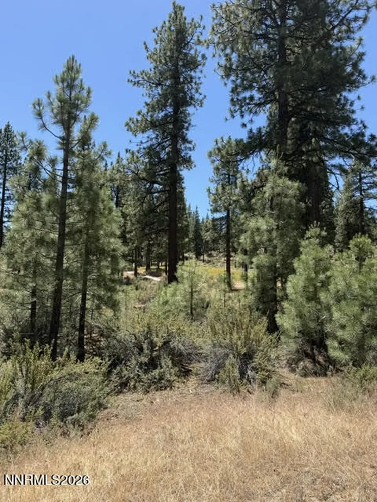 195 Walton Toll Carson City NV 89705