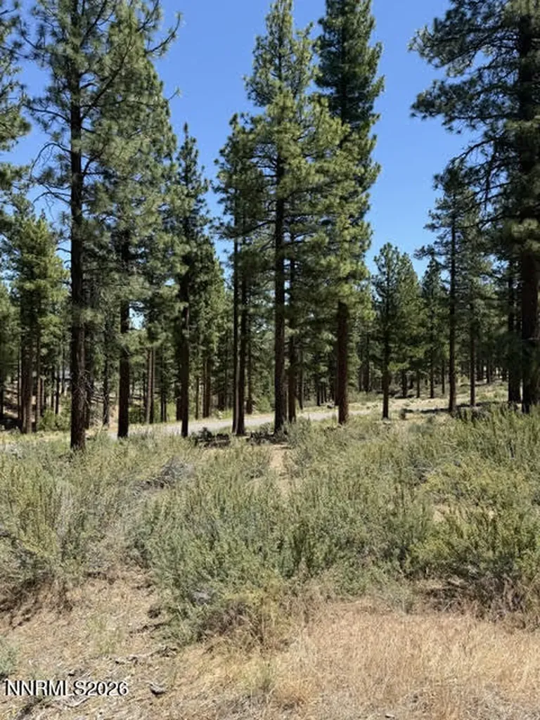 195 Walton Toll Carson City NV 89705
