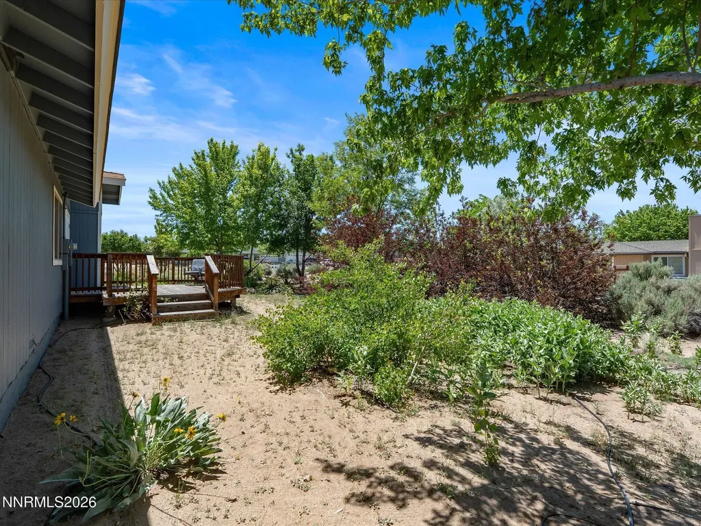 1560 Jones Minden NV 89423
