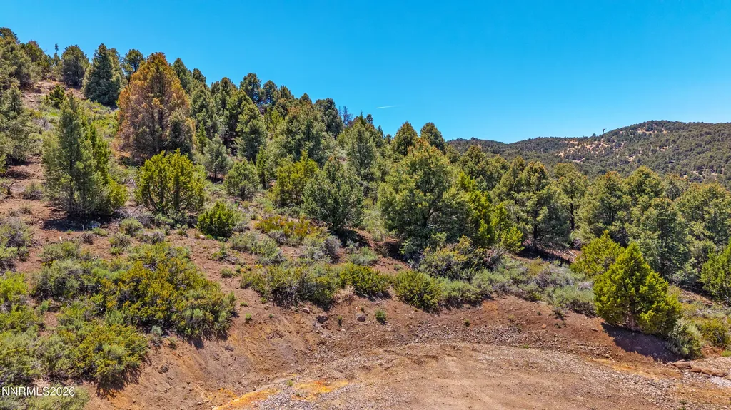 21905 Panhandle Reno NV 89521