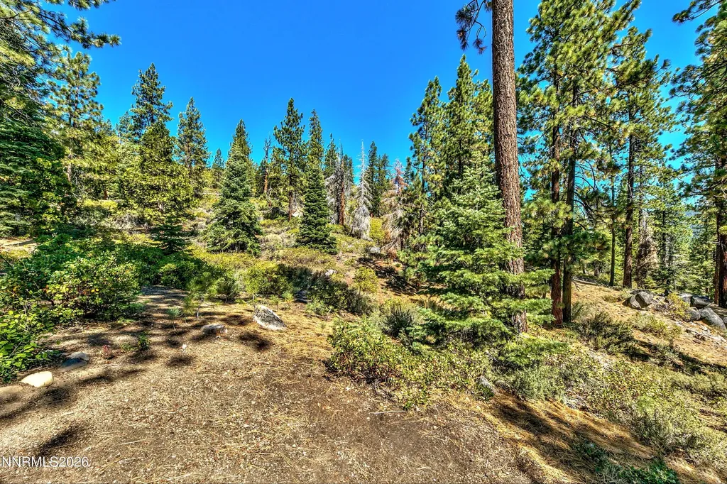 1 Kelly Glenbrook NV 89413