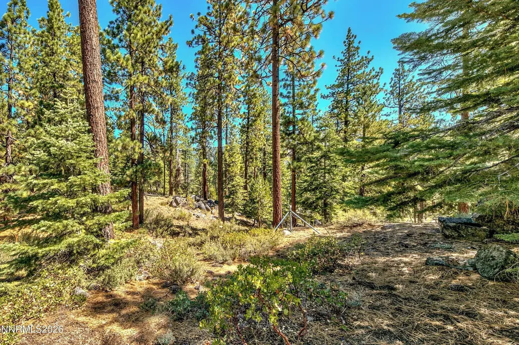 1 Kelly Glenbrook NV 89413