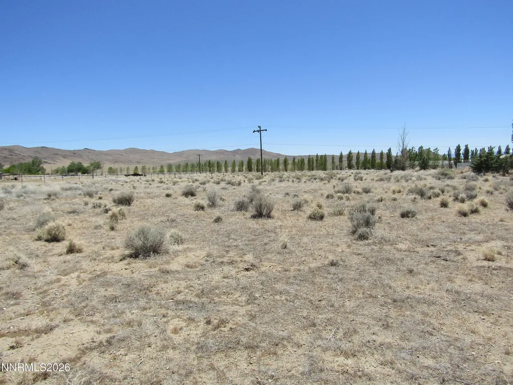 603 Pete Hendrichs Yerington NV 89447