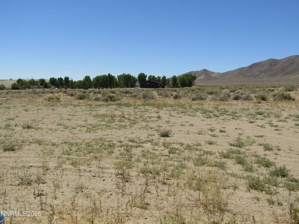 15 Juniper Yerington NV 89447