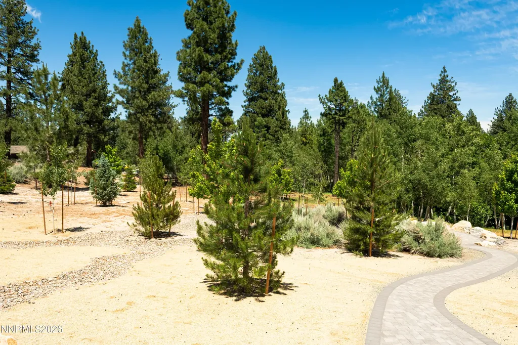 256 Forest Hill Gardnerville NV 89460