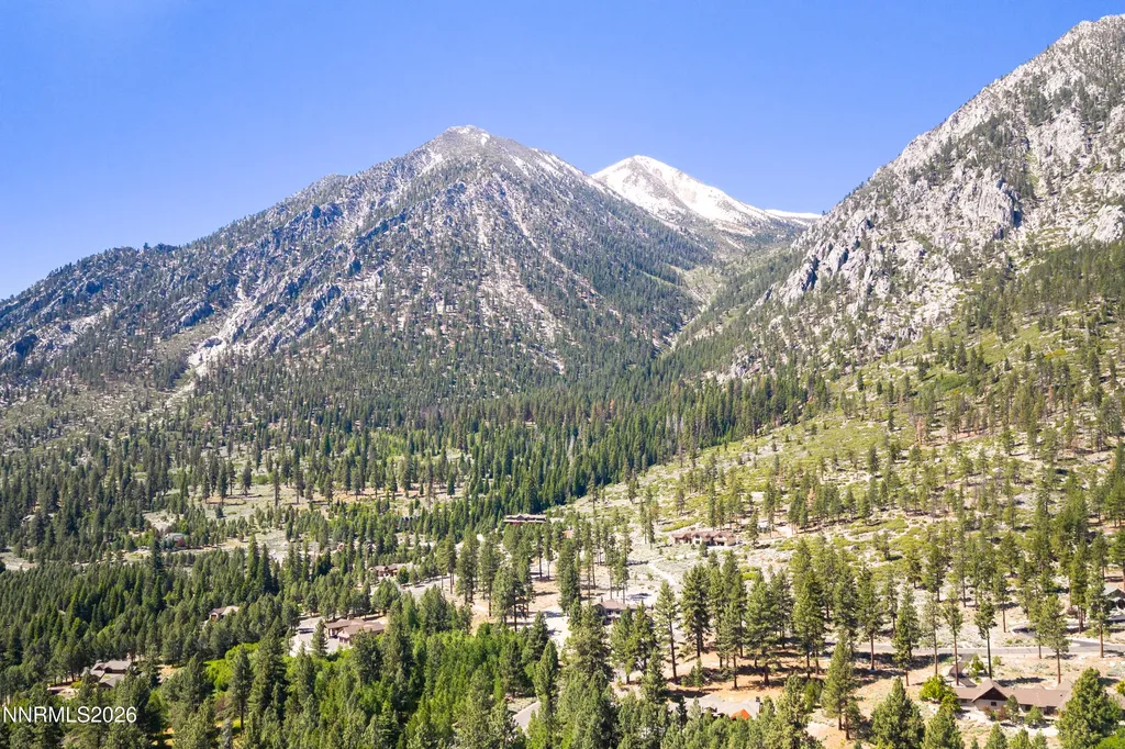 256 Forest Hill Gardnerville NV 89460