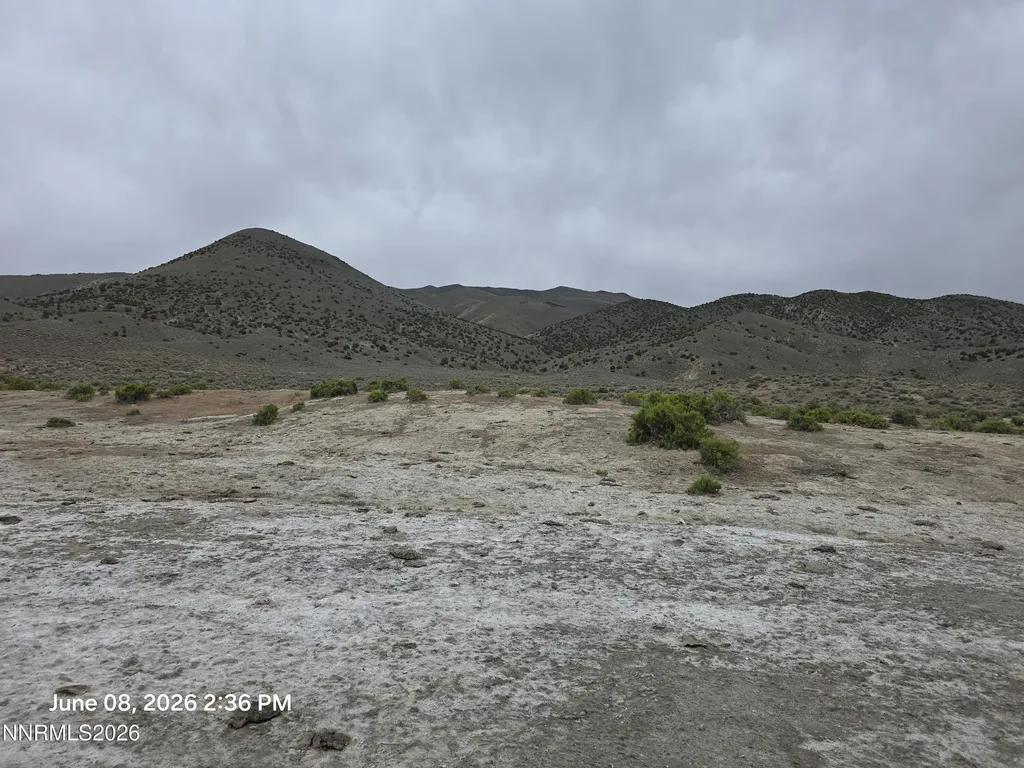 X Jungo Winnemucca NV 89445