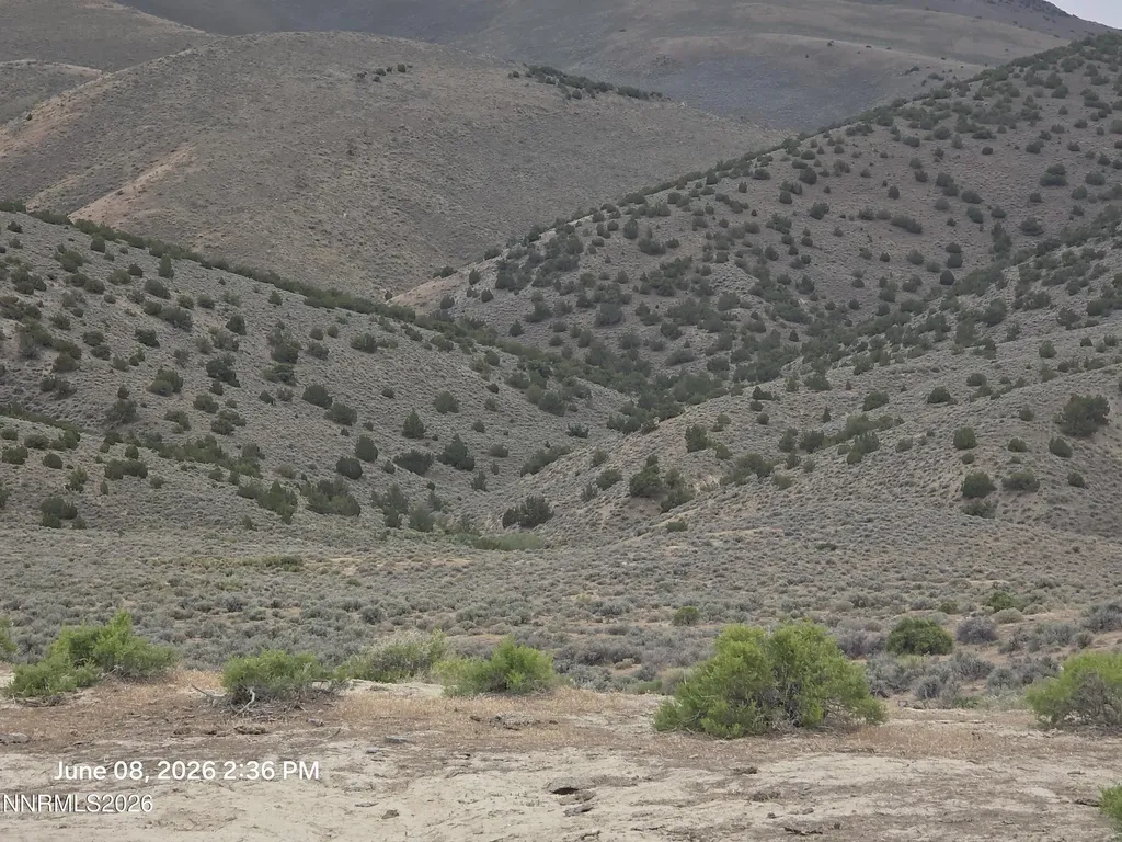 X Jungo Winnemucca NV 89445