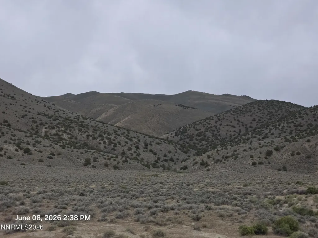 X Jungo Winnemucca NV 89445