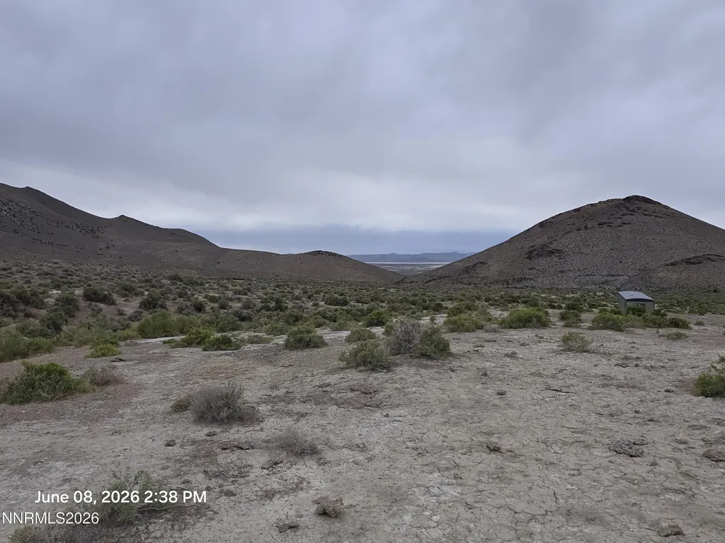 X Jungo Winnemucca NV 89445