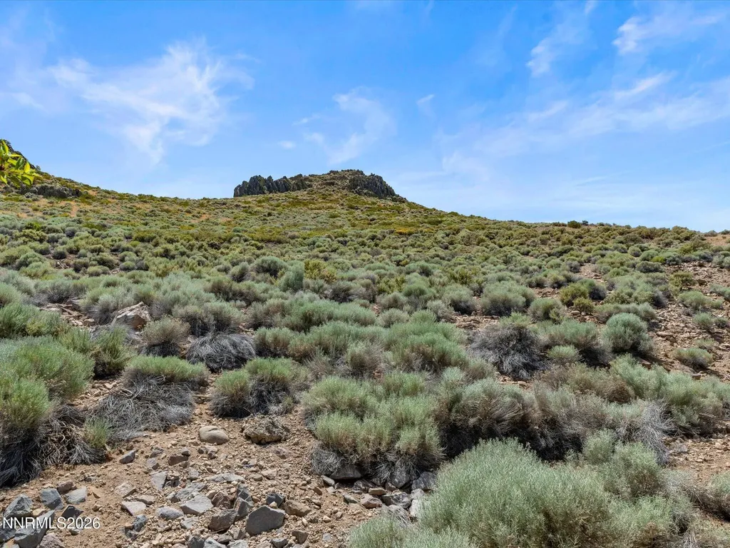 4317 Leeward Reno NV 89502