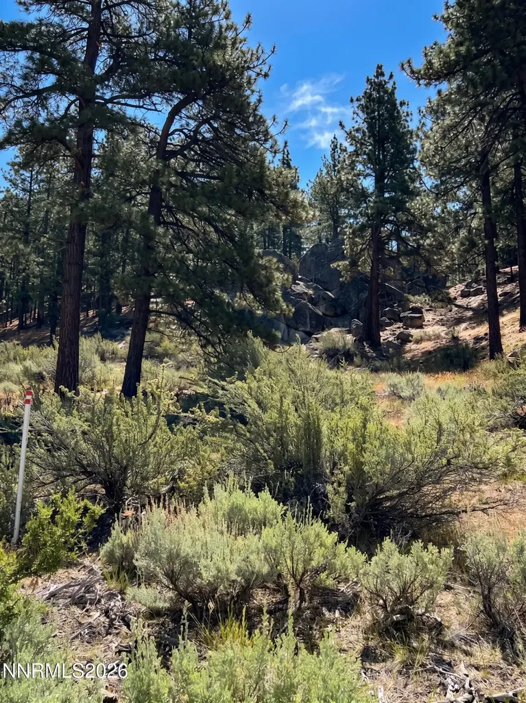 570 Headwaters Carson City NV 89705