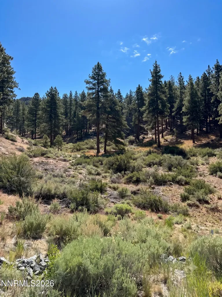 570 Headwaters Carson City NV 89705
