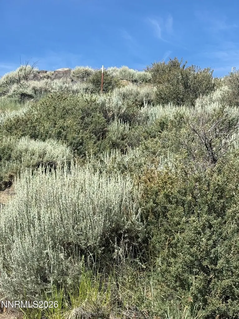 18 Knoll Carson City NV 89703
