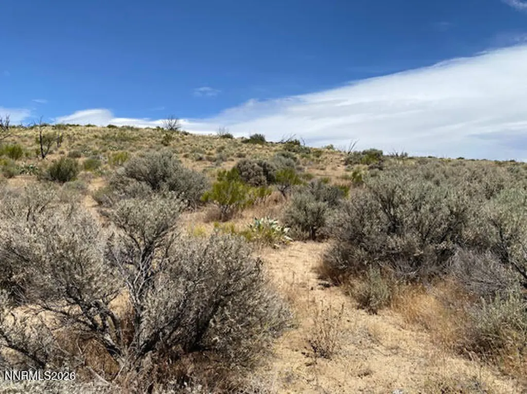 2945 Argonaught Reno NV 89506