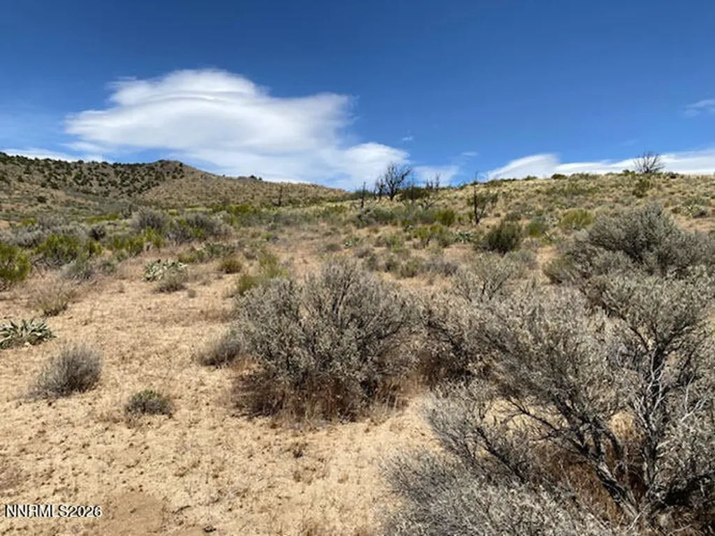 2945 Argonaught Reno NV 89506