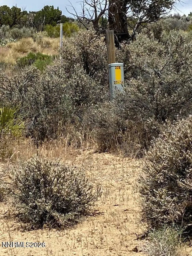 2945 Argonaught Reno NV 89506