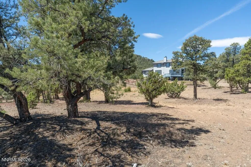 1790 Combination Reno NV 89521