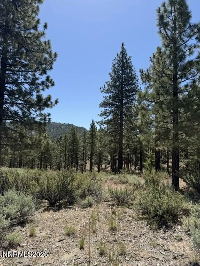 205 Haskell Mill Carson City NV 89705