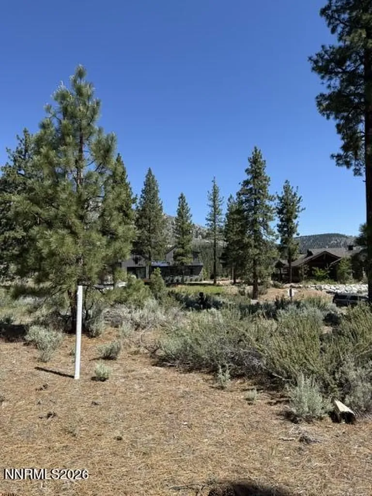 205 Haskell Mill Carson City NV 89705