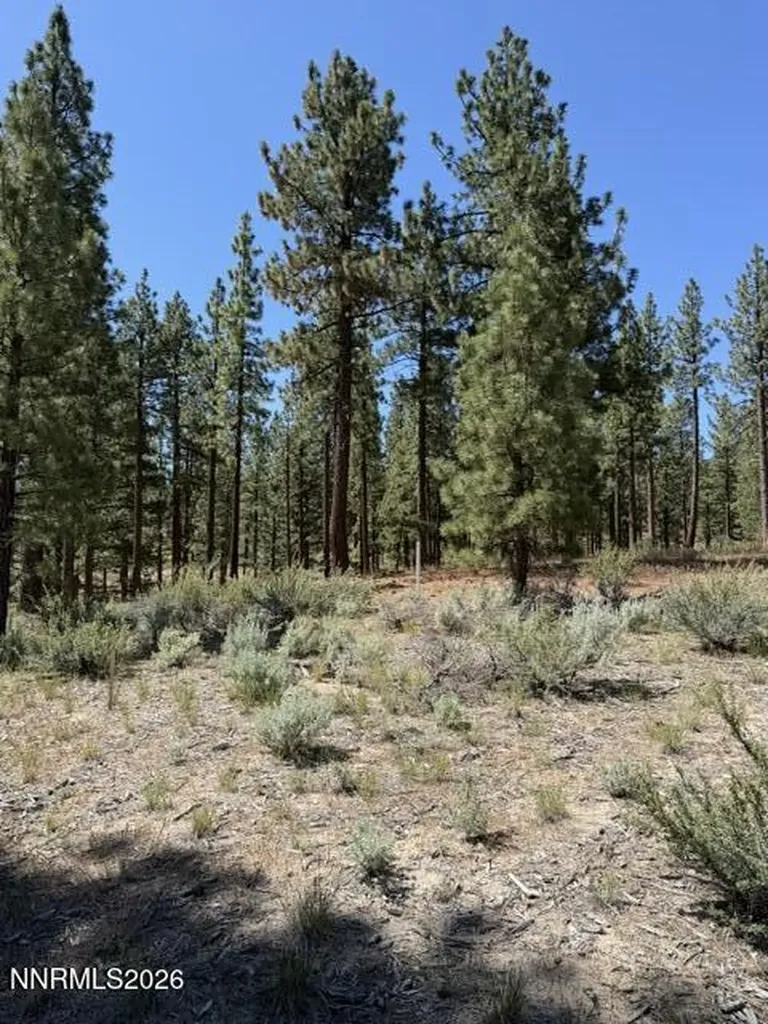 205 Haskell Mill Carson City NV 89705