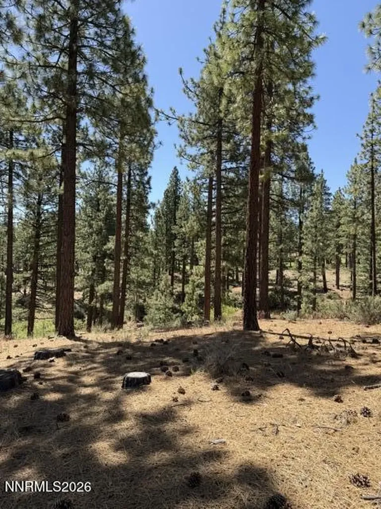 205 Haskell Mill Carson City NV 89705