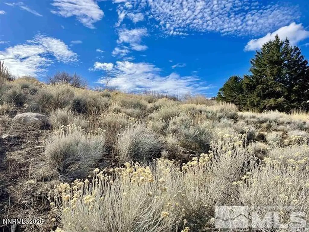 2790 Lake Ridge Shores Reno NV 89519