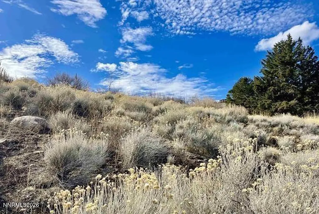 2790 Lake Ridge Shores Reno NV 89519