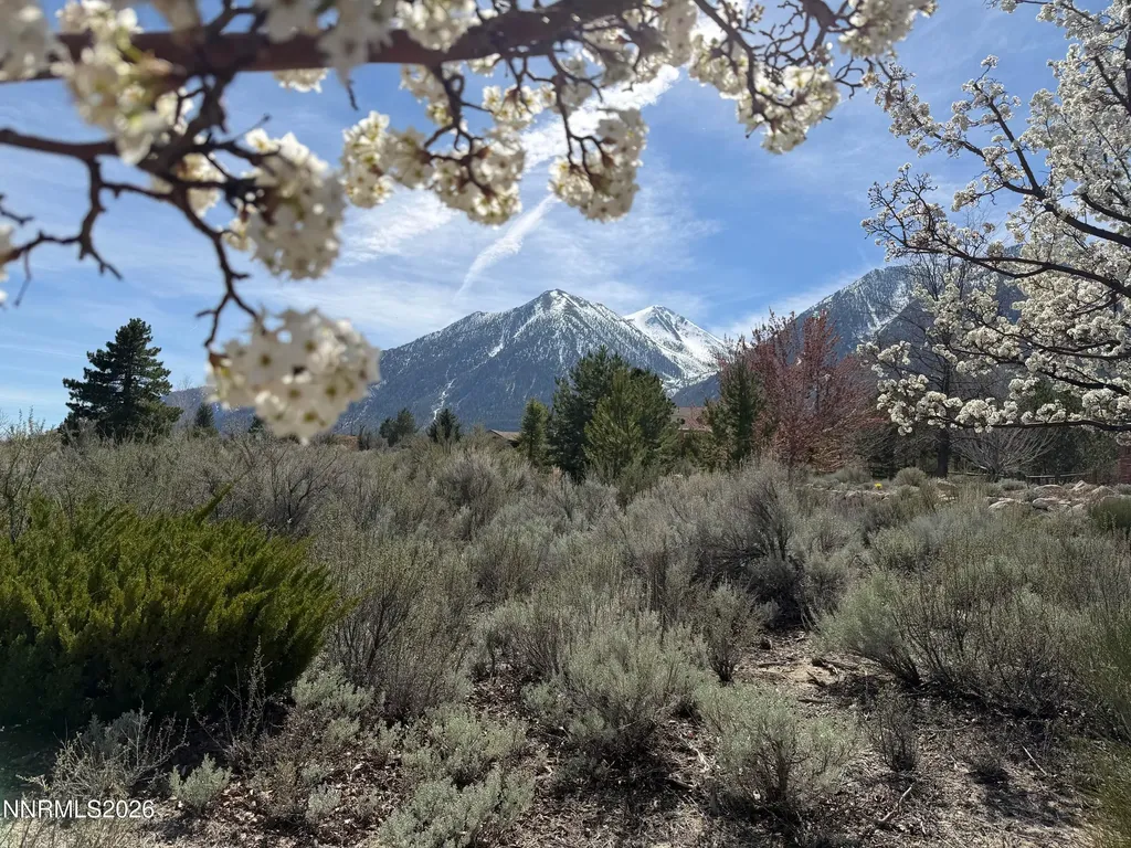 1030 Lakeside Gardnerville NV 89460