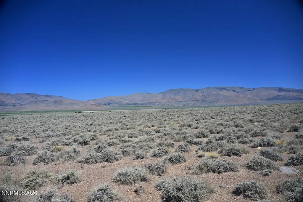 005 Eastside Lane Gardnerville NV 89410