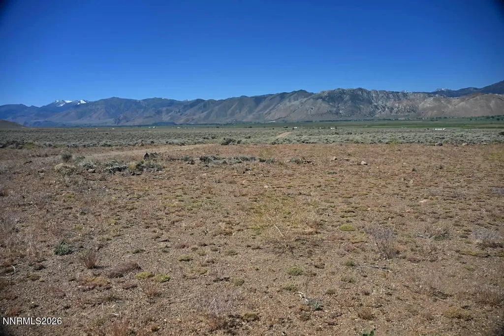 005 Eastside Lane Gardnerville NV 89410