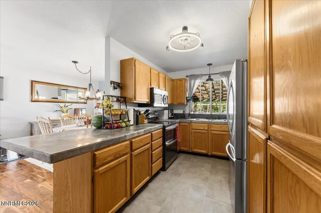 240 Puma Washoe Valley NV 89704