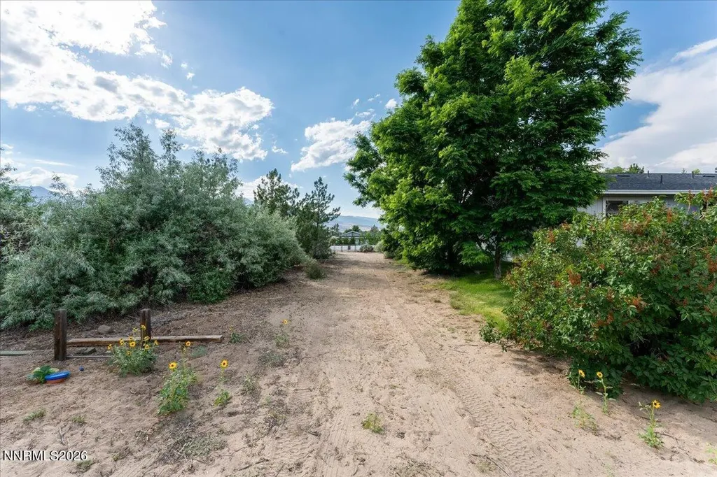 240 Puma Washoe Valley NV 89704