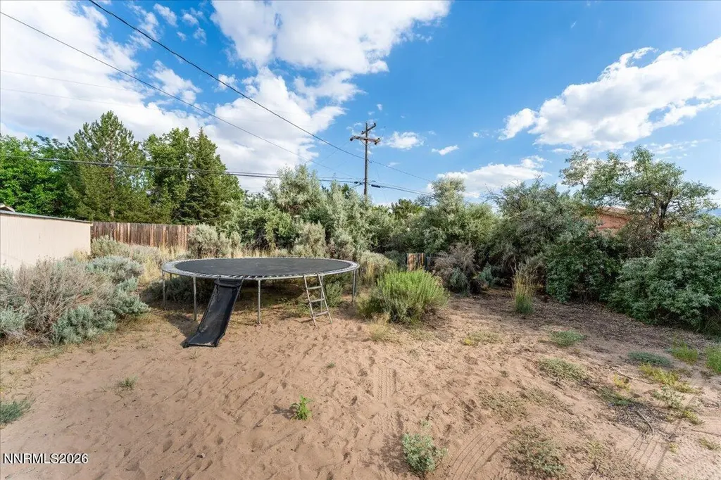 240 Puma Washoe Valley NV 89704