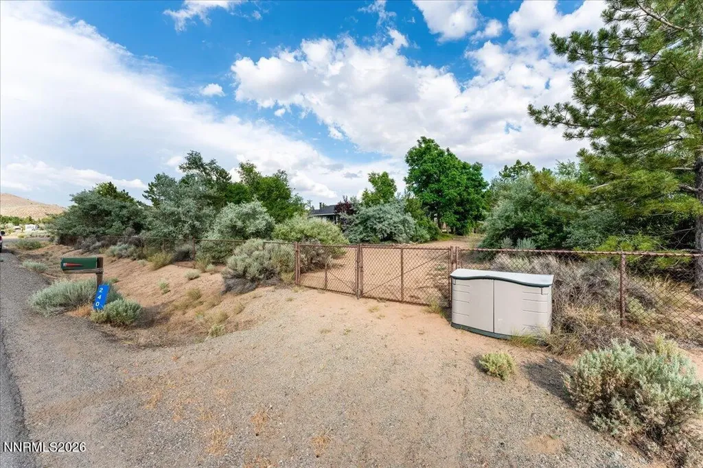 240 Puma Washoe Valley NV 89704