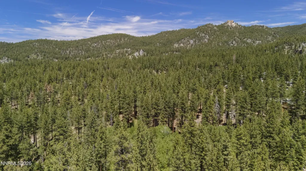 196 Meadow Stateline NV 89449