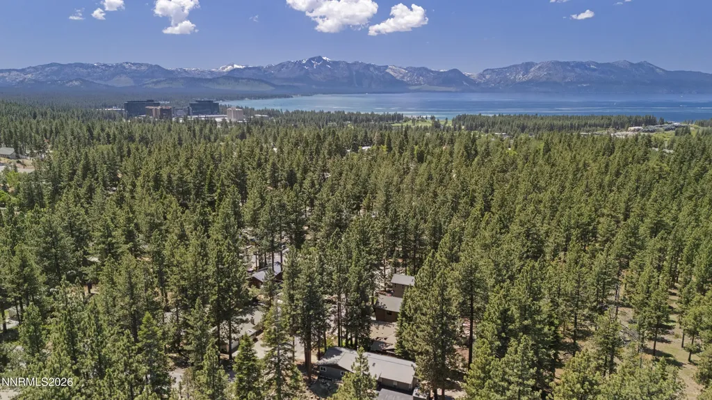 196 Meadow Stateline NV 89449