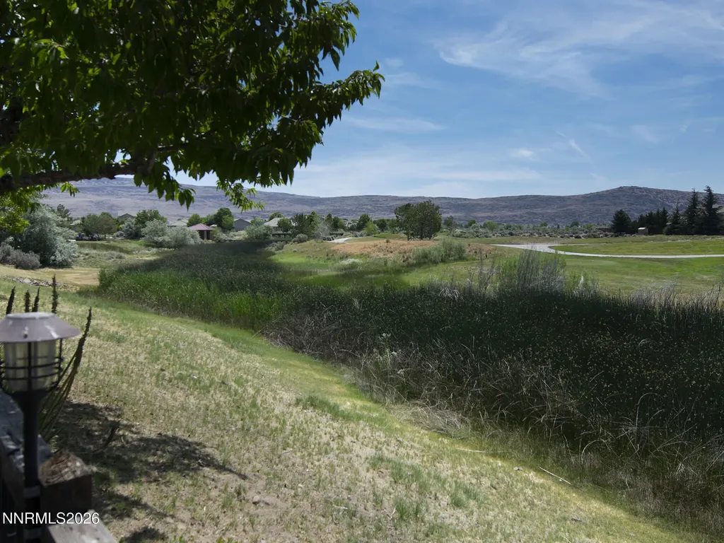 6756 Cinnamon Sparks NV 89436