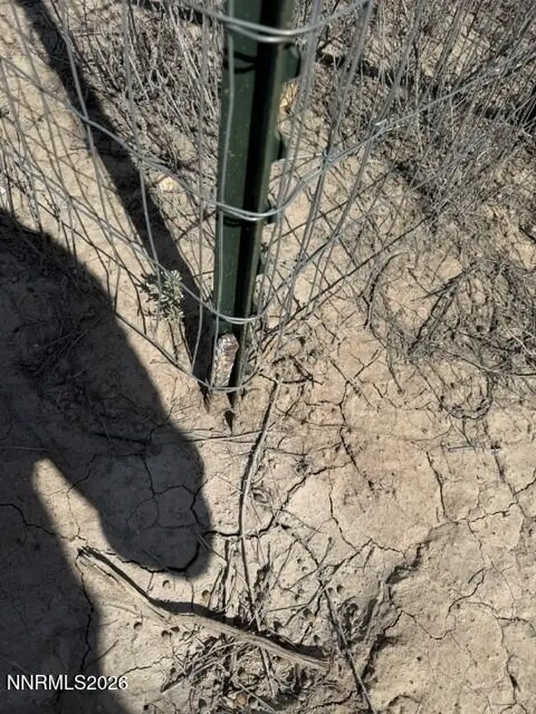 1 Pine Valley Yerington NV 89447