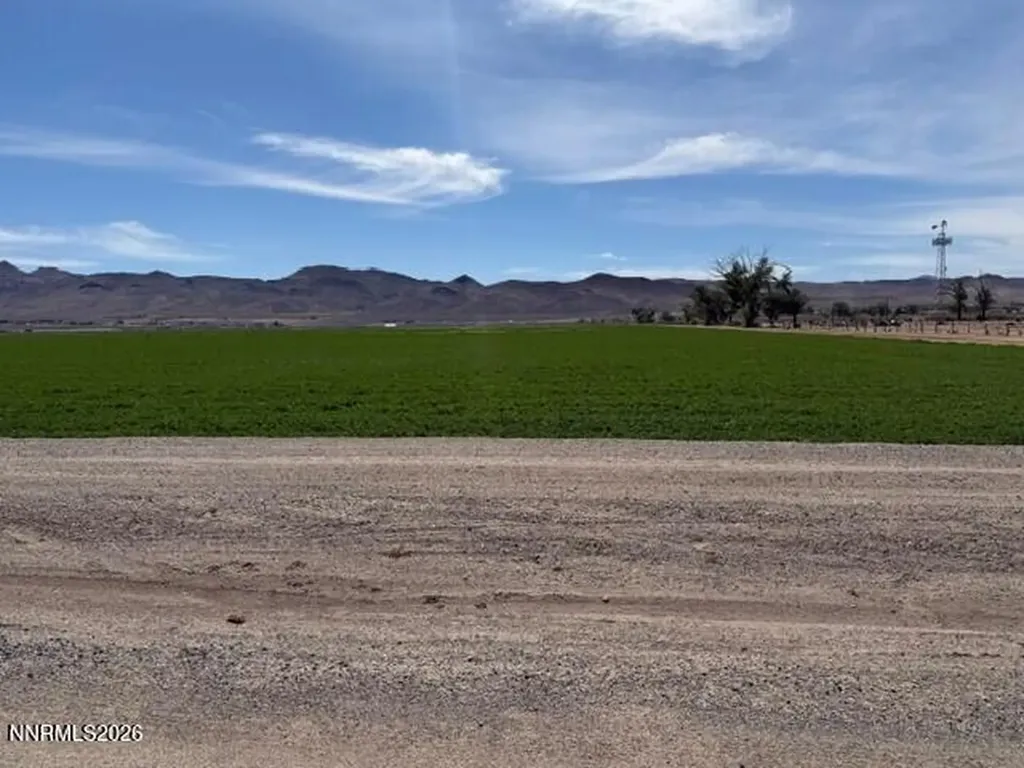 1 Pine Valley Yerington NV 89447