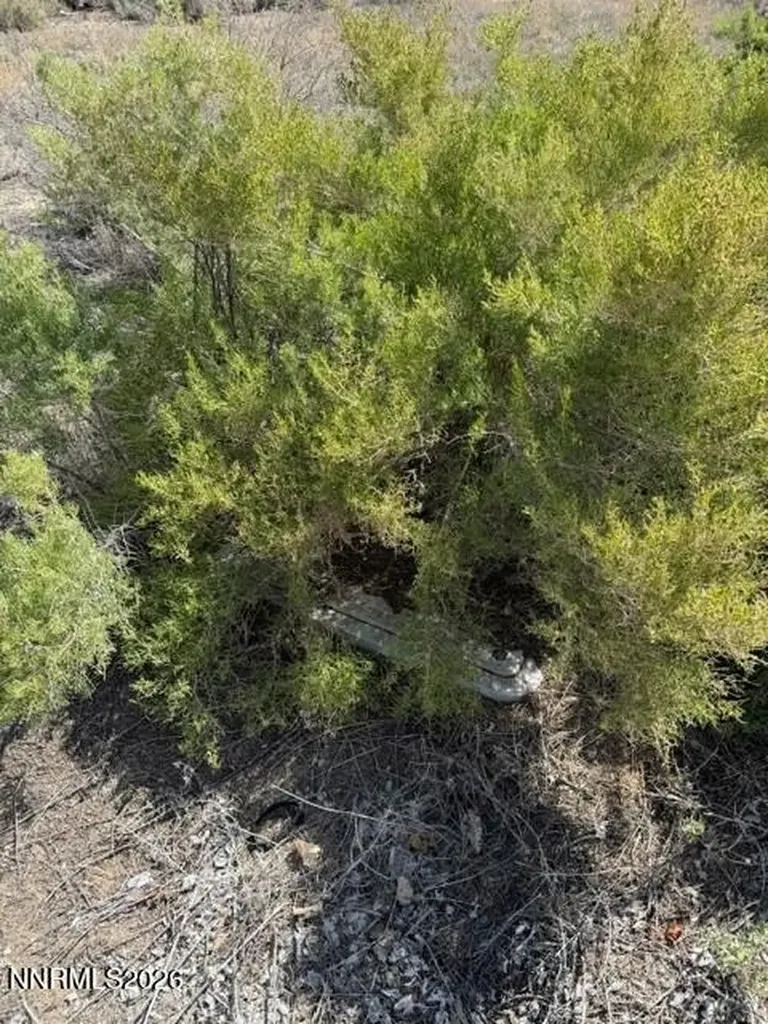 1 Pine Valley Yerington NV 89447